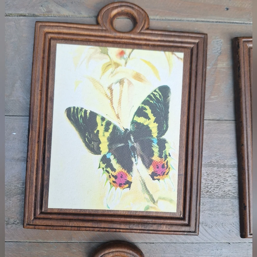 Vintage Wooden Wall Hanging Butterfly Decor Set of 4 Wood Watercolor Prints